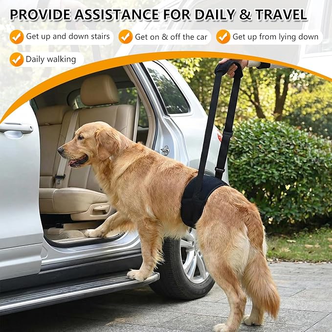 Dog Lift Harness for Rear Legs, Adjustable Dog Support Sling with Soft Padding, Hind Leg & Hip Support for Walking, Stairs & Recovery, Mobility Aid for Senior Dogs (M)