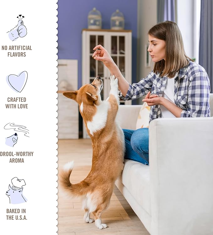 Three Dog Bakery Blueberry Pancake Bites, Treats with Real Blueberries & Vanilla, Mess-Free Snacks & Training Cookies for Dogs & Puppies, Human-Inspired