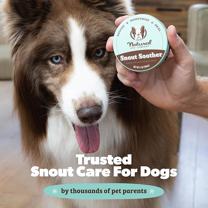 Natural Dog Company Snout Soother Balm – Dog Nose Balm for Dry Cracked Snouts, Moisturizing Winter Nose Care with Coconut Oil & Shea Butter, Lick Safe Dog Snout Balm for All Breeds, 2 oz Tin