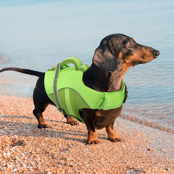 Queenmore Dog Life Jacket, Adjustable Ripstop Dog Life Vest for Swimming Boating, Doggy Lifesaver with Superior Buoyancy and Rescue Handle, Pet Swimming Vest for Large Dogs（Green,L）