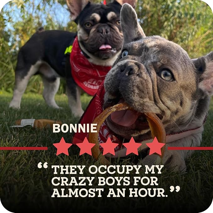 Redbarn Bully Springs for Dogs, 1-Count