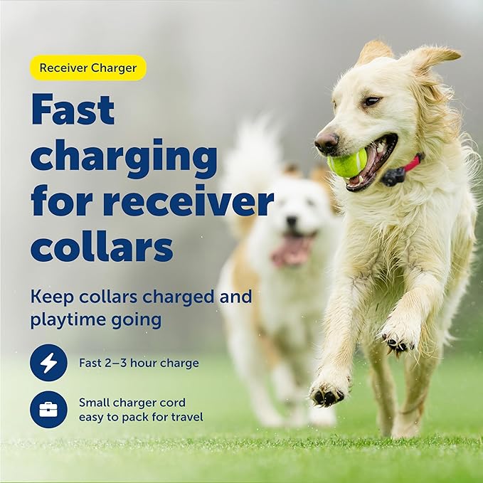 PetSafe Receiver Charger - Fast Charging Collar Cable - USB Charging Cord for Wireless Fence & In-Ground Fence Systems - Compatible with Select Rechargeable Receiver Collars