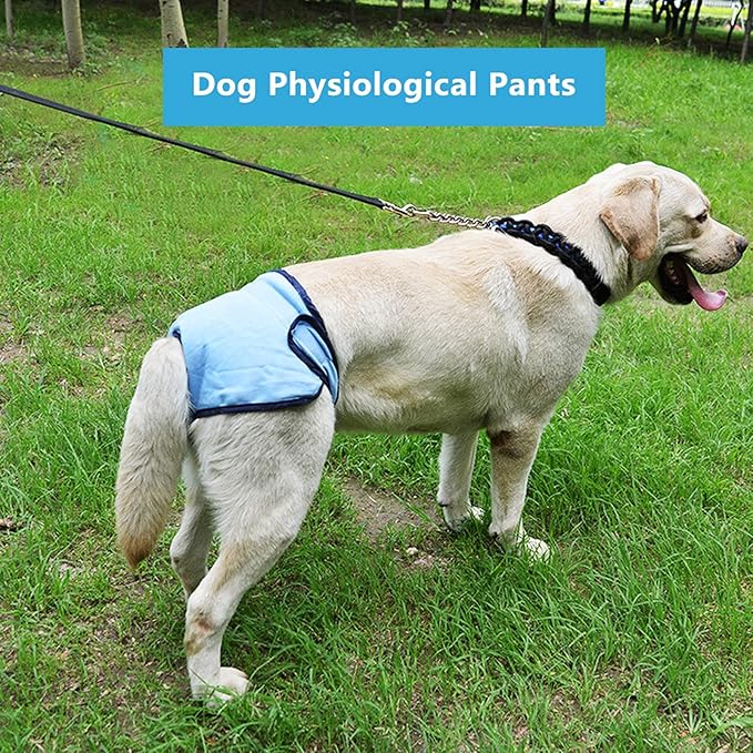 Dog Sanitary Pant,Breathable Cotton Washable Female Dog Diaper Dog Suspender Nappy Menstrual Underwear Pants for Girl Female Dog Menstruation and Avoid Harassment (S)