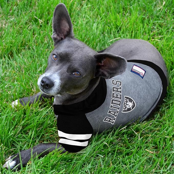 Pets First NFL Oakland Raiders Hoodie for Dogs & Cats. | NFL Football Licensed Dog Hoody Tee Shirt, Small| Sports Hoody T-Shirt for Pets | Licensed Sporty Dog Shirt