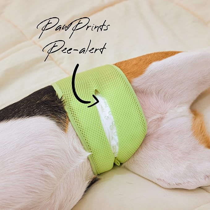 WICKEDPUP Male Dog Belly Band Kit, 50 Diaper Pads & 1 Reusable Male Wrap (Size 2 (17.5"-21.5" Waist))
