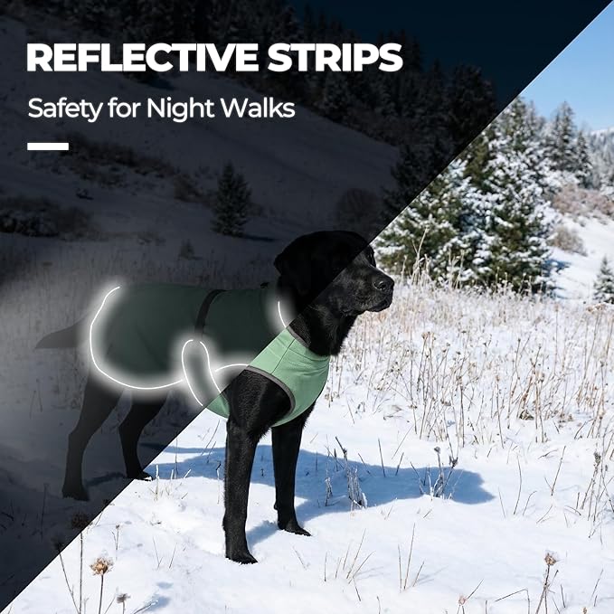 Dog Winter Vest with Fur-Safe Buckle (No Hook & Loop), Water-Repellent Fleece Lined Jacket, 360° Reflective, Leash Hole & Leg Straps, Adjustable for Hiking & Active Dogs (Green, X-Small)