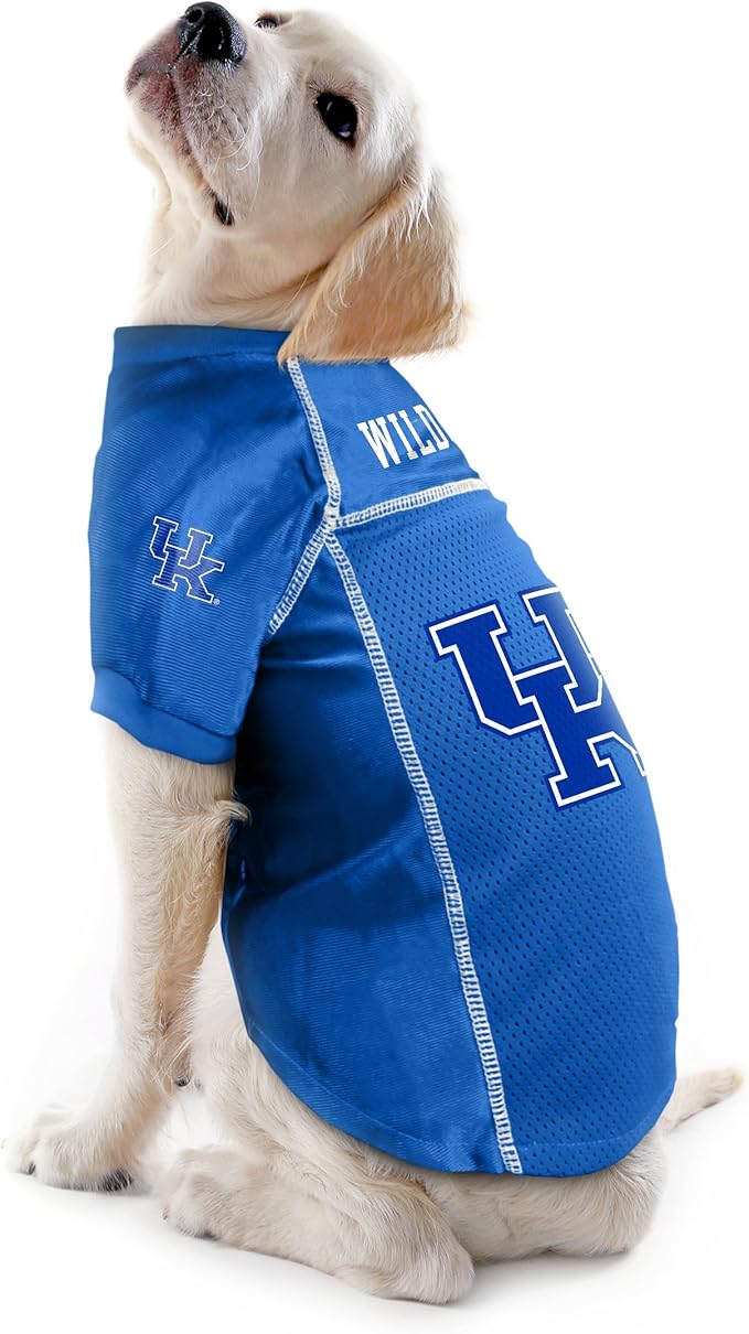 Littlearth NCAA Kentucky Wildcats Basic Pet Jersey, Team Color, Medium