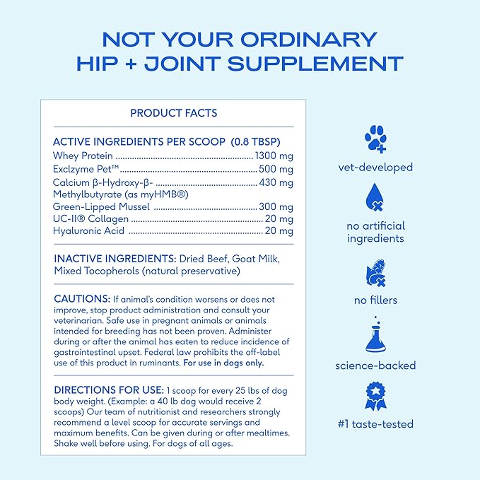 Native Pet Hip & Joint Advanced Care Dog Joint Supplement Powder for Mobility & Movement Support, Joint Supplement for Dogs with HMB, UC-II Collagen, Green Lipped Mussel & Hyaluronic Acid – 60 Scoops