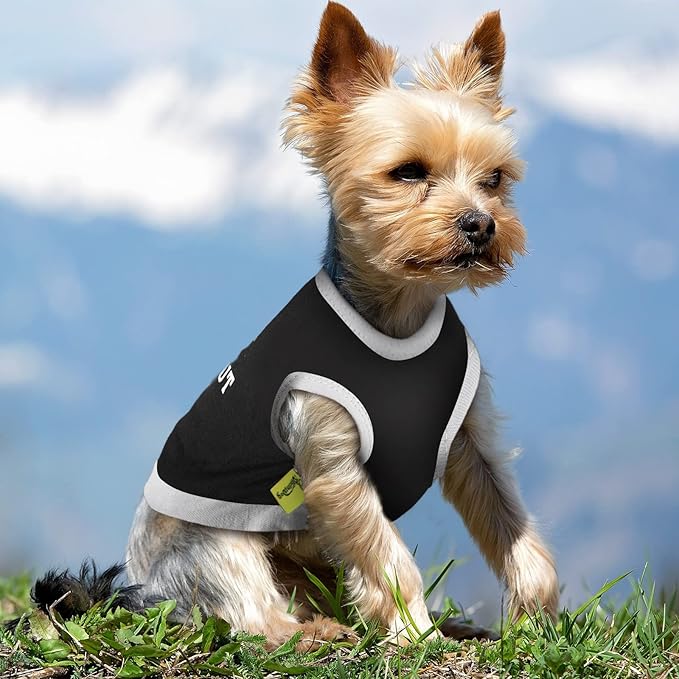 Reginary 8 Pcs Dog Clothes for Small Dogs Boy Summer Shirts Soft Breathable Chihuahua Yorkie Cute Pattern Shirt Puppy Cat Clothing Fit for Mini and Medium Dogs(Small)