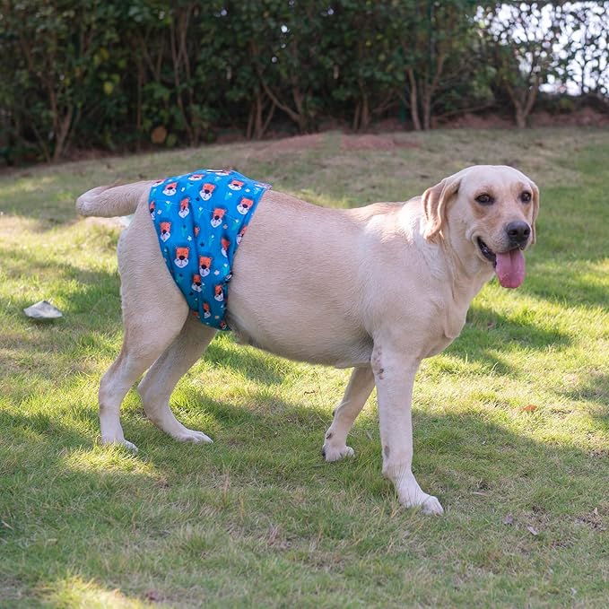 CuteBone Belly Band for Dogs Male XL DM14XL