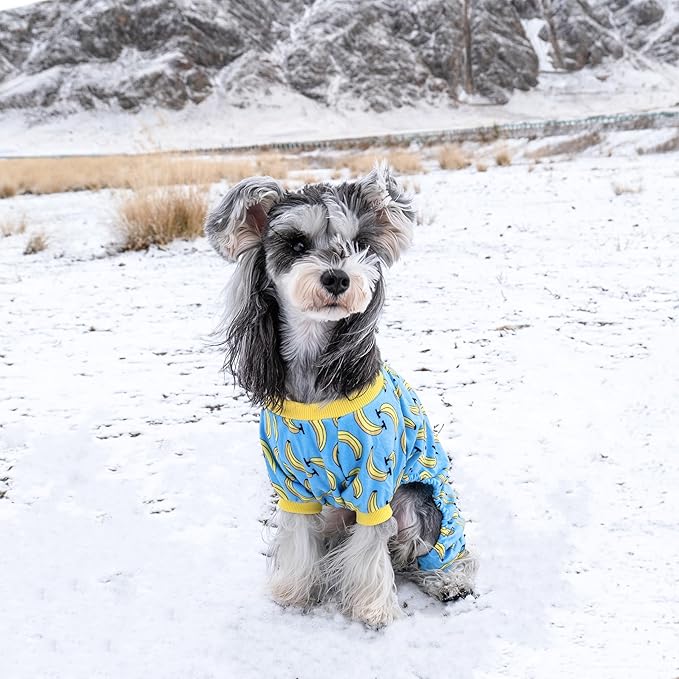 CuteBone Soft & Stretchy Dog Pajamas - Cozy Pet Jammies Breathable Jumpsuit for Small Dogs - All-Season Comfy Outfit Easy-On Pullover Design - Keeps Pets Warm & Comfortable P06XL