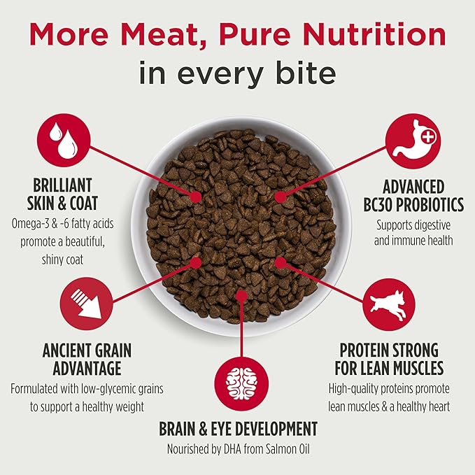 Nulo Frontrunner Puppy Food - High-Protein Chicken, Oats & Turkey Recipe Kibble, Natural Dry Dog Food with DHA, Ancient Grains, Probiotics, Taurine, Omega 3 for Small, Medium & Large Breeds, 5lb Bag