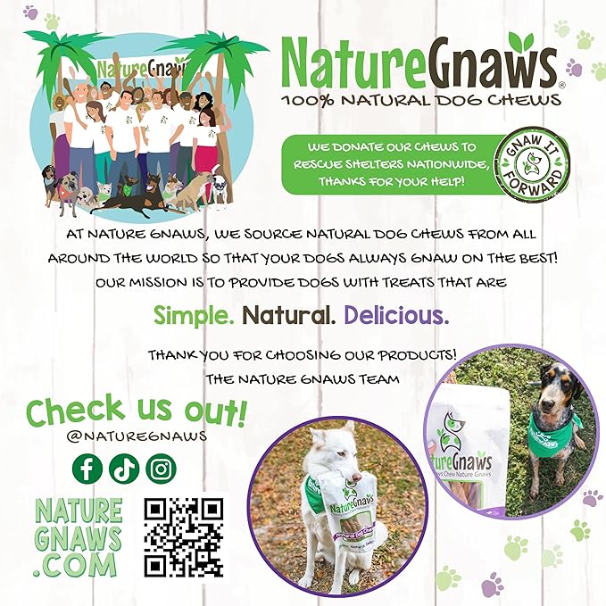 Nature Gnaws Beef Gullet Springs for Dogs 7-8" (6 Count) - Natural Beef Jerky Stick Dog Chew Treats - Rawhide Free