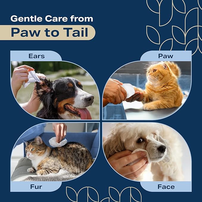 Dog Wipes for Paws and Butt - Coconut Scented (Pack of 400) - Pet Wipes for Dogs and Cats - Deodorizing Non Toxic Dog Wipes, +12 Additional Travel Wipes