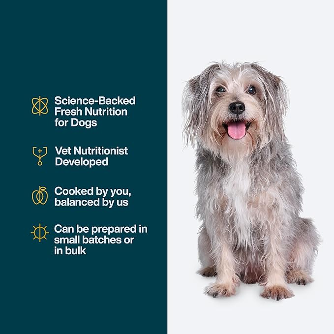 DIY Human Quality Dog Food - Chicken and White Rice Recipe (225 Grams)