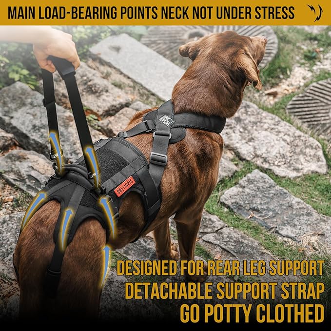 OneTigris Dog Support Harness for Back Legs, Dog Lift Sling for Large Dogs Hind Legs, Canine Dogs Hip Support Brace Ideal for Elderly Injured Arthritic Provides (Black, XL)
