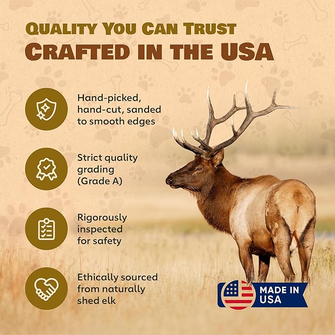 Jumbo Whole Elk Antlers for Dogs | 100% Natural & Organic | Dog Elk Antler for Aggressive Chewers | Whole Dog Antler Chews for Large Dogs 60-90+ lbs | 7-12 Inches, XXL | 12 oz