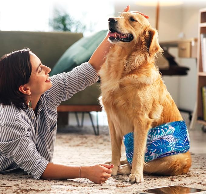 wegreeco Small Dog Diapers Male, Reusable Belly Bands for Male Dogs,Washable Doggie Puppy Diapers Wraps, Medium Large Size (5 Pack XX-Large, Hawaiian)
