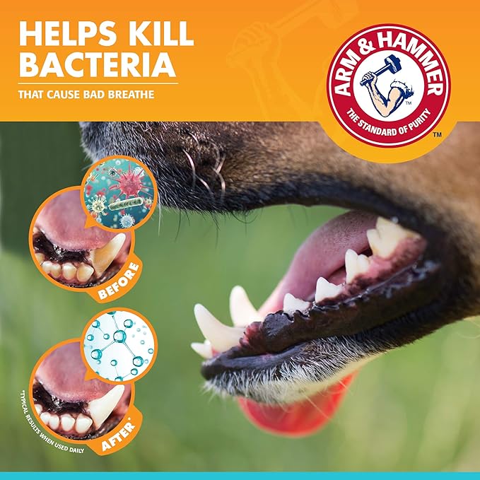 Arm & Hammer for Pets Fresh Breath Enzymatic Dog Dental Care Kit, Dog Toothpaste Kit with Toothbrush and Finger Brush for Tartar Control and Oral Hygiene, Chicken Flavor, 2.5 oz, 3-Piece Kit