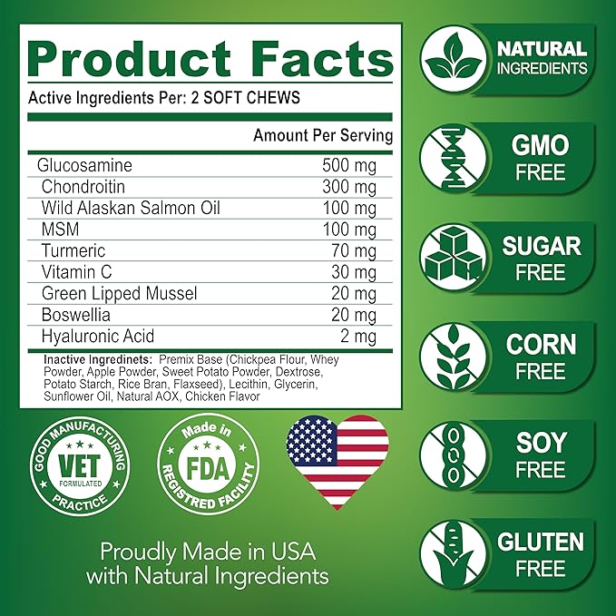 Vet Promise Glucosamine for Dogs - Hip and Joint Supplement for Dogs - Glucosamine Chondroitin - Joint Pain Relief Pills - MSM - Advanced Health Support Supplement - 170 Mobility Chews - Made in USA