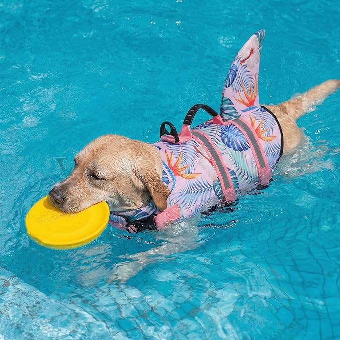 Queenmore Shark Dog Life Vest for Swimming, Pet Life Vests for Boating, High Buoyant DogLife Jacket, Ripstop High Flotation Swimsui for Small, Medium, Large Dogs (HawaiiPink,XXL)