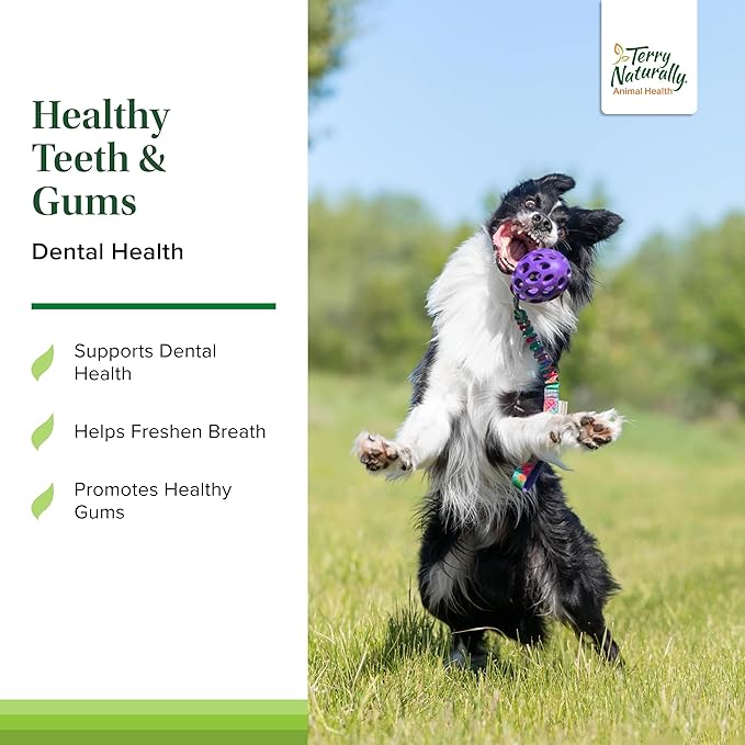 Terry Naturally Healthy Teeth & Gums - for Dogs- Supports Dental Health & Helps Freshen Breath - Supports Healthy Gums - 60 Tablets