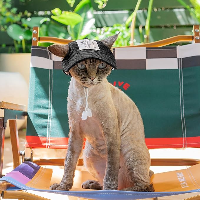 Pet Dog Baseball Cap, Cat Hat, Cat Dog Sun Cap with Ear Holes, Adjustable Puppy Outdoor Sun Hat (Black, X-Small)