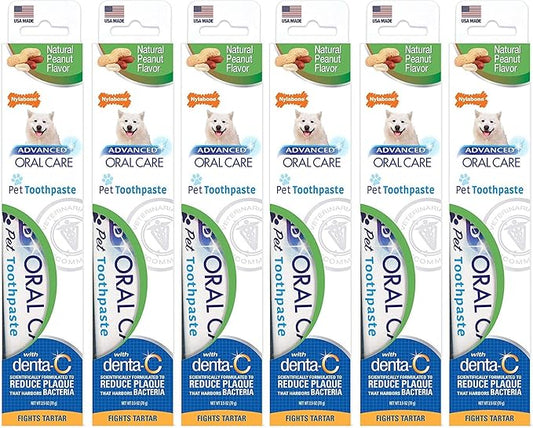 Nylabone Advanced Oral Care Natural Toothpaste