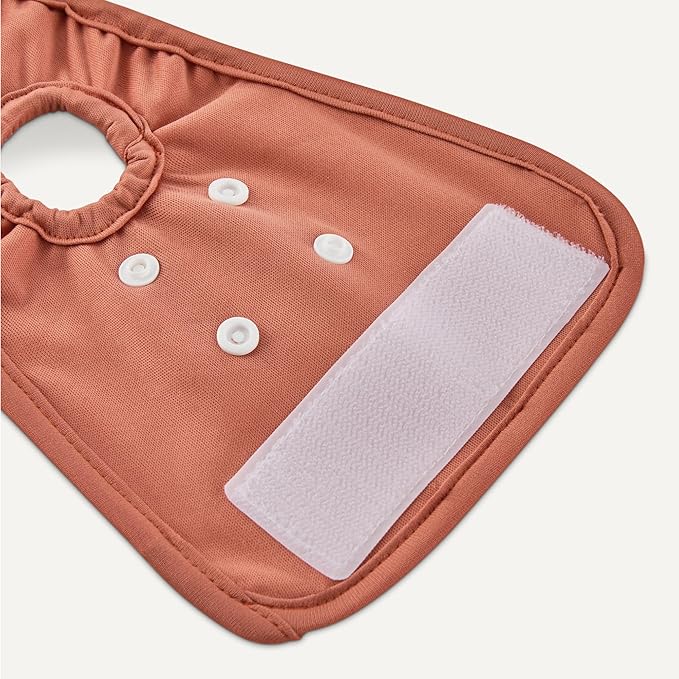 Amazon Basics Washable Dog Diapers, Highly Absorbent, Female, XS Size, 3 Pack, 12.2“ x 10.2” x 0.21“, Colors- Cinnamon, Peach, Pale Olive