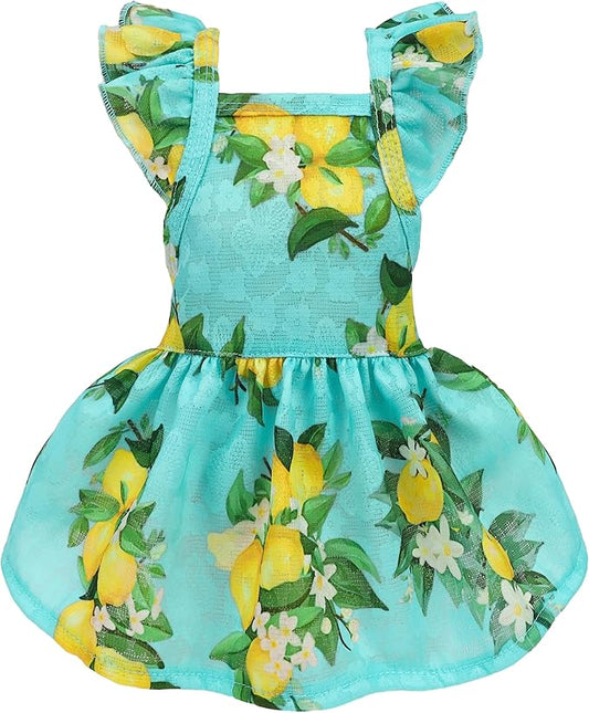 Fitwarm Lemon Dog Dress, Dog Clothes for Small Dogs Girl, Pet Cat Apparel, Teal Blue, Yellow, Green, XS