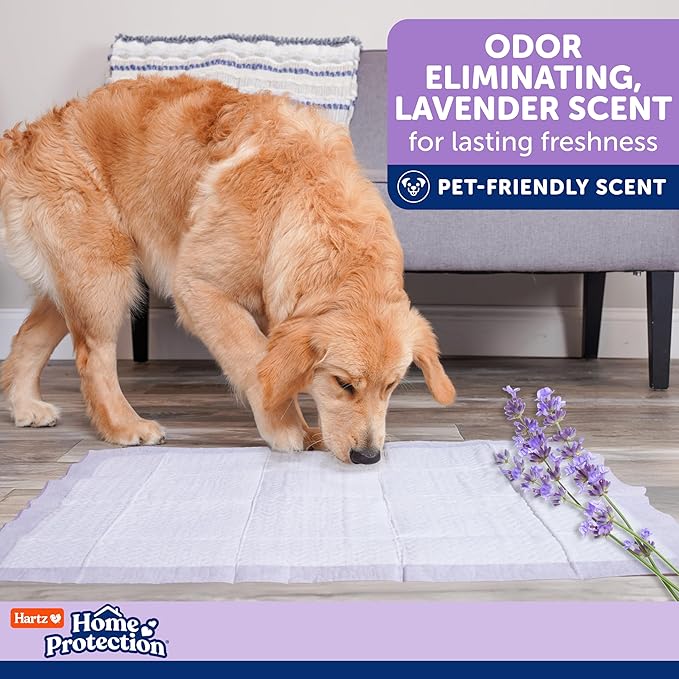 Hartz Home Protection Super Absorbent Odor Eliminating Lavender Scented No Leak Dog Pads, XXL 40 count