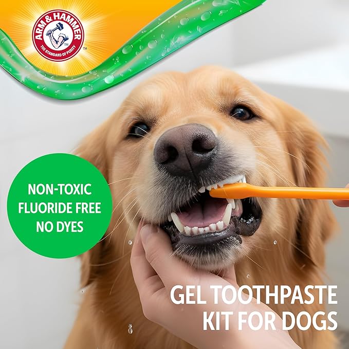 Arm & Hammer Complete Care Dental Gel Dog Toothbrush Kit, Gel Dog Toothpaste, Toothbrush, Finger Brush, Fresh Breath, Tartar Control, Baking Soda Enhanced Pet Dental Supplies, Chicken Flavor, 2.5oz