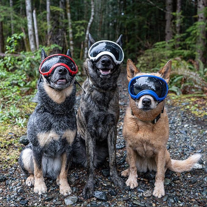 Rex Specs V2 Dog Goggles with UV Eye Protection Sunglasses, for Large, Medium, and Small dog breeds (Balkan Blue, X-Small)