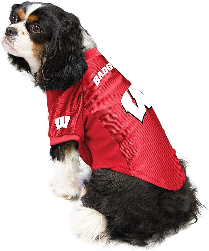 Littlearth NCAA Penn State Nittany Lions Stretch Pet Jersey, Team Color, Medium