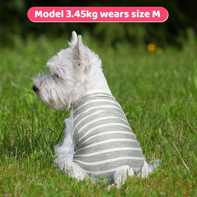 3 Pieces Reusable Dog Diapers Female Dog Period Diapers Washable Puppy Sanitary Panties with Adjustable Suspender Pet Underwear Jumpsuits for Female Doggy Doggie Puppy(S)