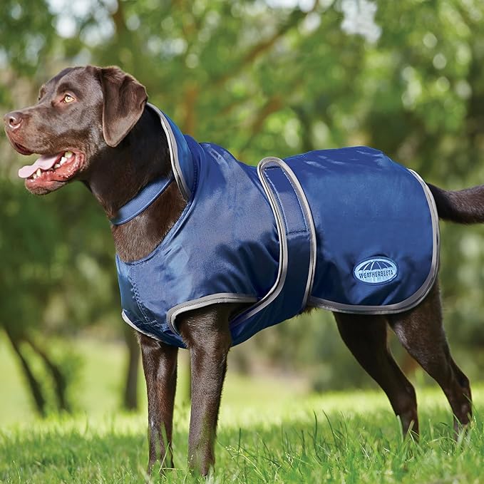 WeatherBeeta ComFiTec Windbreaker 420D Deluxe Dog Coat, Navy/Grey, 20"