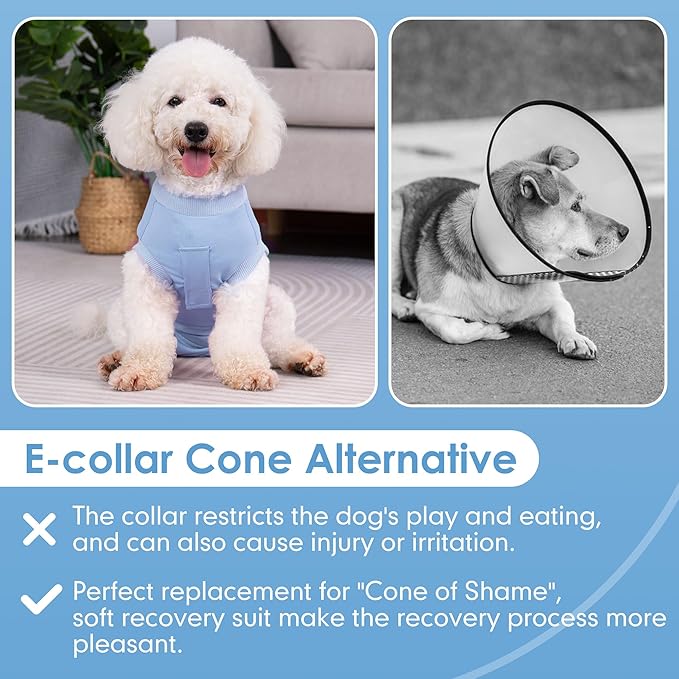 cyeollo Dog Surgery Recovery Suit Soft Breathable Female Male Pet Bodysuit for Spay, Neuter, Surgical Recovery Shirt for Small Medium Large Dogs, Blue, XXL