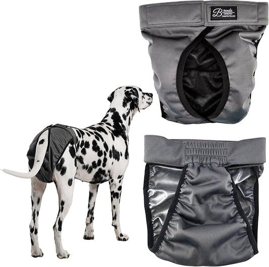 FINNERO Brenda Reusable Dog Diaper, Leak-Proof, Adjustable, Heat & Incontinence Protection, M – Gray