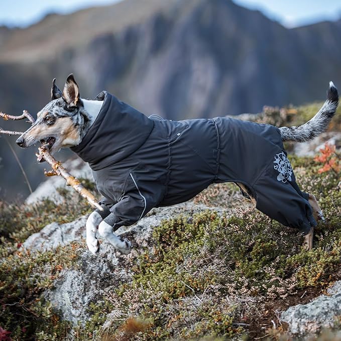 Hurtta Extreme Overall, Dog Snowsuit, BlackBerry, 14S