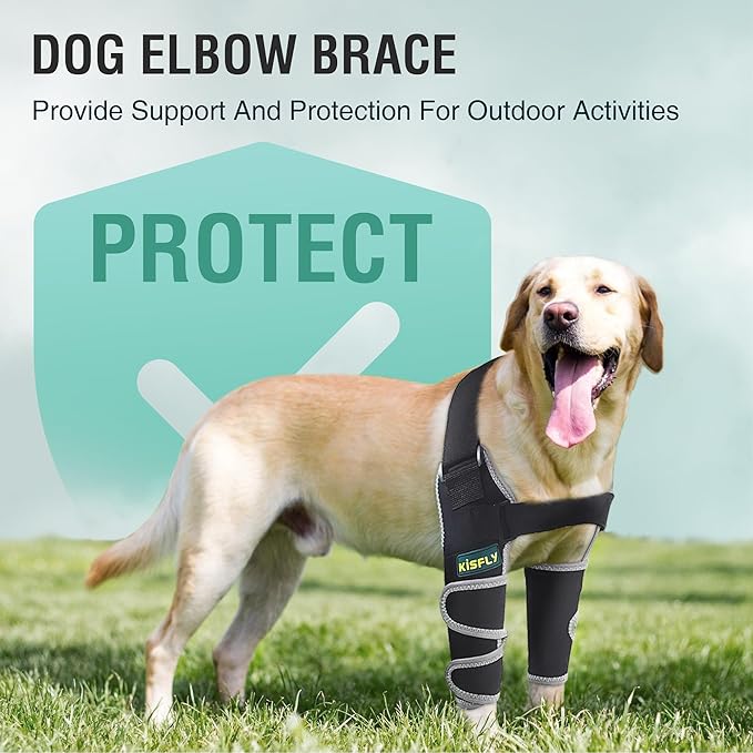 Dog Elbow Brace for Dogs, Provides Elbow & Shoulder Support, Helps with Dysplasia, Osteoarthritis, Calluses & Pressure Sores, Reflective Design, Both Legs, Size S