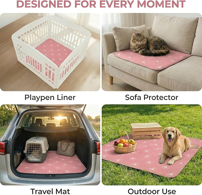 PJYuCien 2 Pack Non-Slip 36"x36" Pet Playpen Mat with 3-Layer Comfort, Reusable and Washable Training Crate Pad, Travel Mat and Sofa Protector for Puppies, Dogs, Cats, Rabbits, and Small Animals, Pink