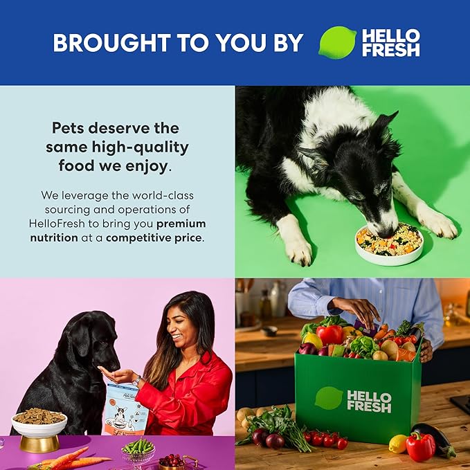 The Pets Table Salmon & Whitefish with Pumpkin Grain Free Air Dried Dog Food, 3 lb / 48 oz Bag