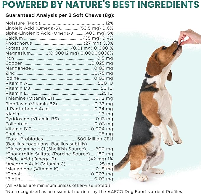 12-in-1 Dog Multivitamin Soft Chews, 120 Ct - Dog Vitamins & Supplements, Glucosamine Chondroitin, Probiotics, Omega 3 - Hip & Joint, Skin & Coat, Immune Support for Puppy & Senior Dogs - Chew + Heal