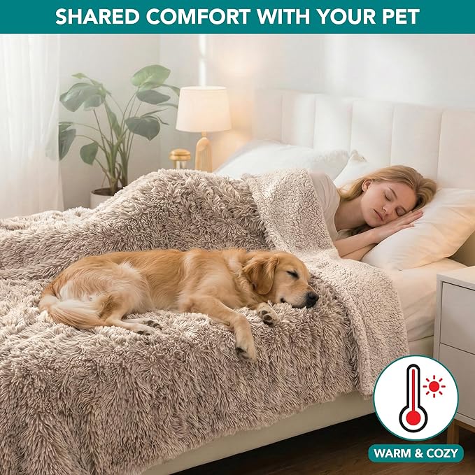 PetAmi Waterproof Dog Blanket for Large Dog, Queen Size Calming Pet Blanket Couch Cover Protector, Sherpa Faux Fur Cat Throw for Sofa Furniture Bed, Soft Fluffy XL, 90x90 Taupe