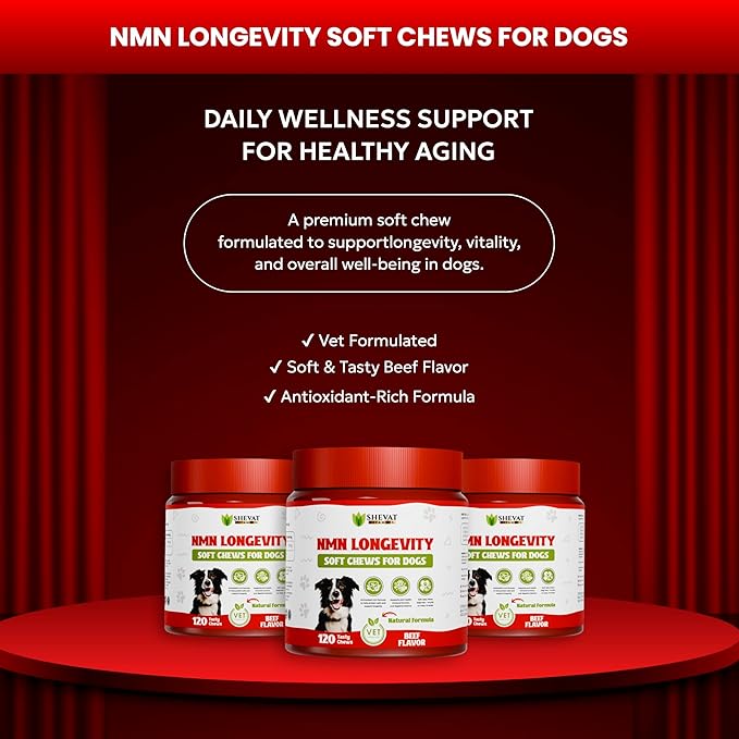 NMN Longevity Soft Chews for Dogs – Beef Flavored – Antioxidant Support for Joint Health, Immune Function, and Cellular Protection – 120 Count