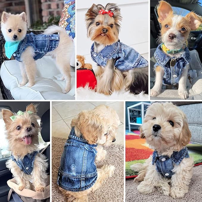Dog Jean Jacket, Blue Denim Lapel Vest Coat T-Shirt Costume, Cute Girl Boy Puppy Clothes, Comfort and Cool Apparel, for Small Medium Dogs Cats, Machine Washable Dog Outfits (XS, Blue)