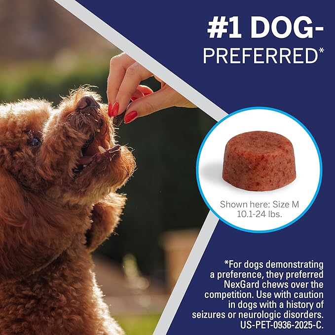 NexGard® (afoxolaner) Flea and Tick Protection for Dogs Oral Soft Beef Flavored Chewables, 60.1 to 121 lbs (Red Box) 6 Chews (6 Month Supply)