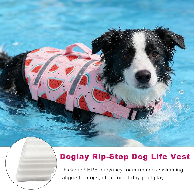 Doglay Dog Life Jacket, Dog Life Vest for Swimming Boating, Adjustable Puppy Life Jacket with Reflective Stripes, Superior Buoyancy Pet Swimming Vest for Small Medium and Large Dogs
