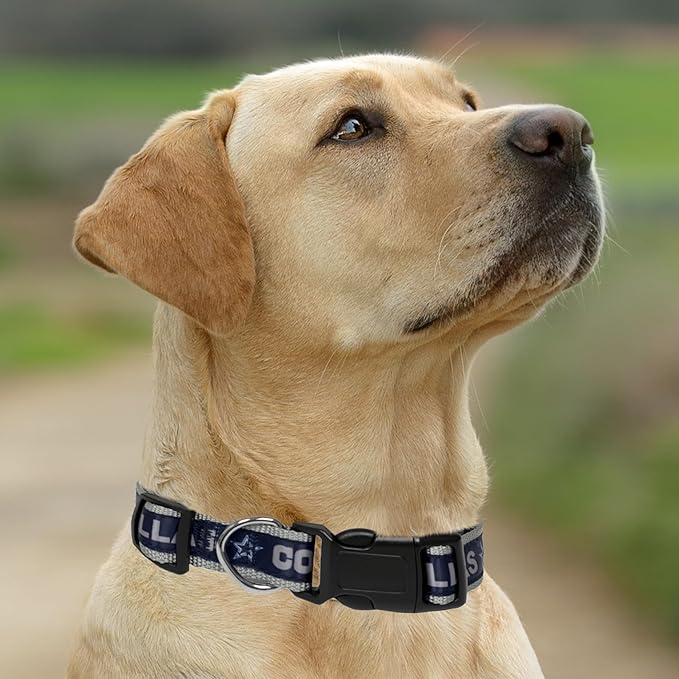 Pets First NFL Dallas Cowboys Licensed PET COLLAR, Medium - Heavy-Duty, Strong, and Durable Dog Collar. Available in 31 Football Teams and 4 Sizes
