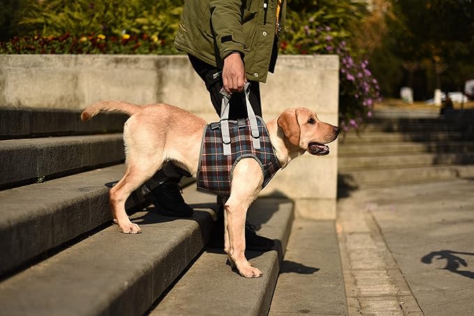 ROZKITCH Dog Lift Harness, Grid Pet Chest Support Aid Veterinarian Approved Sling for Old K9 Help With Poor Stability, Front Legs Disabled Joint Injury Elderly Arthritis ACL Rehabilitation Rehab